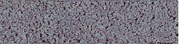 Purple - medium mortar